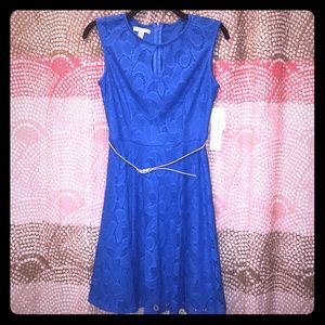 London Style Blue Lace Dress with Belt
